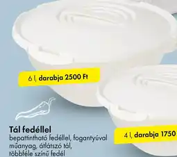 Tedi Tál fedéllel ajánlat