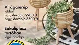 Tedi Virágcserép lábbal ajánlat