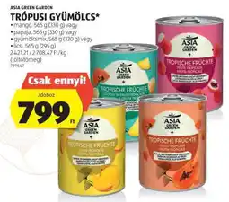 ALDI Asia Green Garden Trópusi Gyümölcs ajánlat