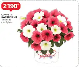 Auchan Confetti garden duo ajánlat