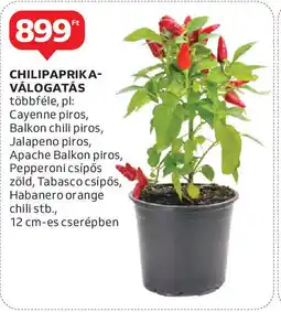 Auchan Chilipaprika- válogatás ajánlat