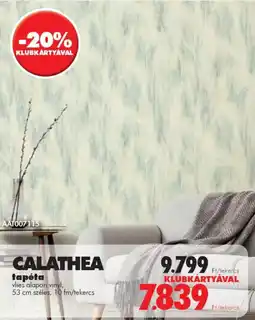 Diego CALATHEA tapéta ajánlat