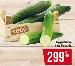 Coop Kígyóuborka ajánlat