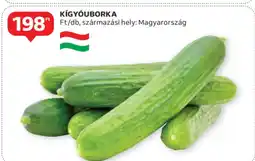 Auchan Kígyóuborka ajánlat
