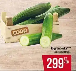 Coop Kígyóuborka ajánlat