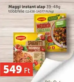 PRIVÁT Maggi instant alap ajánlat