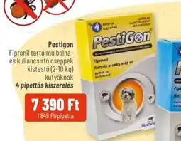 Alpha Zoo Pestigon ajánlat