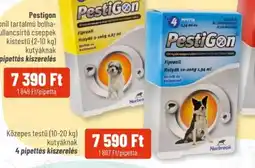 Alpha Zoo Pestigon ajánlat
