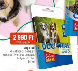 Alpha Zoo Dog vital ajánlat