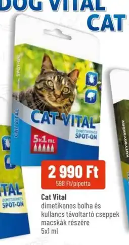 Alpha Zoo Cat Vital ajánlat