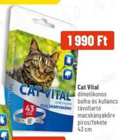 Alpha Zoo Cat Vital ajánlat