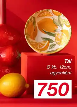 Kik Tál ajánlat