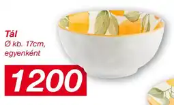 Kik Tál ajánlat