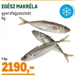 Egész makréla