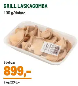 Metro Grill laskagomba ajánlat