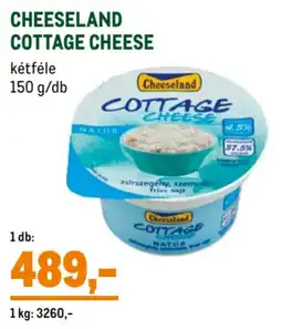 Cheeseland Cottage Cheese