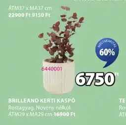 JYSK Brilleand kerti kaspó ajánlat
