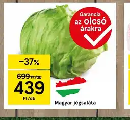 Tesco Magyar jégsaláta ajánlat