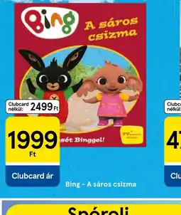 BingA sáros csizma