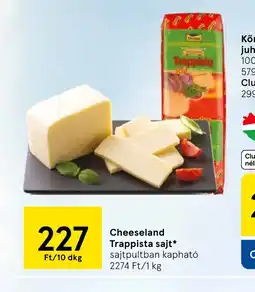 Cheeseland Trappista sajt