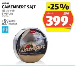 ALDI Milfina camembert sajt ajánlat