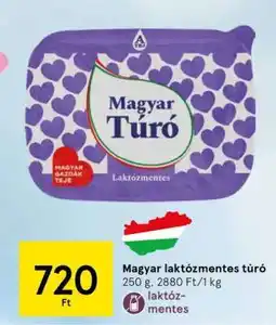 Tesco Magyar laktózmentes túró ajánlat