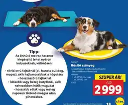 Lidl zoofari Hűsítő szőnyeg ajánlat