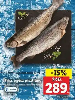 Lidl Friss egész pisztráng ajánlat