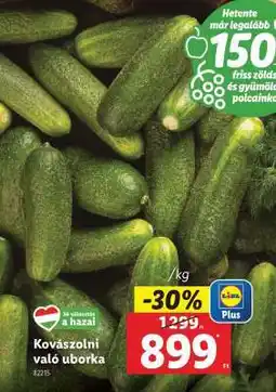 Lidl Kovászolni való uborka ajánlat