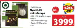 Lidl LIVARNO home Nyári LED-dekorlámpa ajánlat