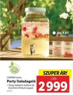 Lidl LIVARNO home Party italadagoló ajánlat