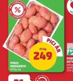 PENNY Piros Burgonya ajánlat