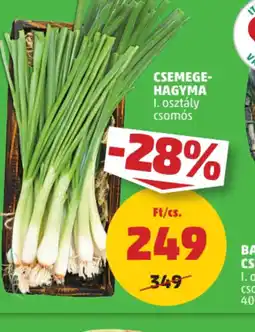PENNY Csemege hagyma ajánlat