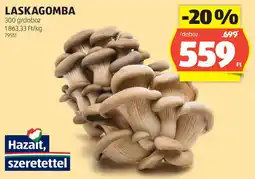 ALDI Laskagomba ajánlat