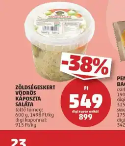 PENNY Zöldségeskert Vödrös Káposzta Saláta ajánlat