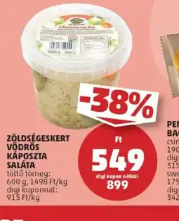 PENNY Zöldségeskert Vödrös Káposzta Saláta ajánlat