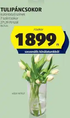 ALDI Tulipáncsokor ajánlat