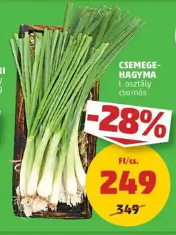 PENNY Csemege- hagyma ajánlat