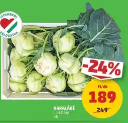 PENNY Karalábé ajánlat
