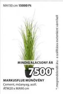 JYSK Markusflue műnövény ajánlat