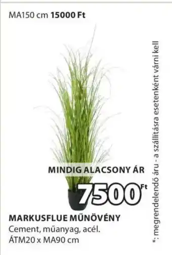 JYSK Markusflue műnövény ajánlat