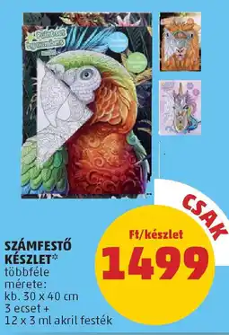 PENNY Számfestő készlet ajánlat