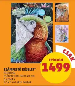 PENNY Számfestő készlet ajánlat