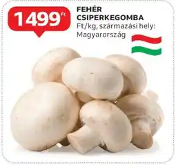 Auchan Fehér csiperkegomba ajánlat