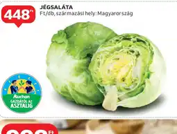 Auchan Jégsaláta ajánlat