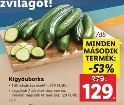 Lidl Kígyóuborka ajánlat