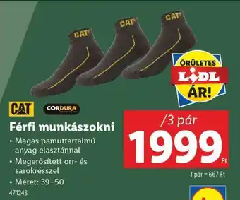 Lidl Férfi munkazokni ajánlat