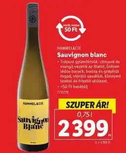 Lidl Hammel&Cie Sauvignon blanc ajánlat