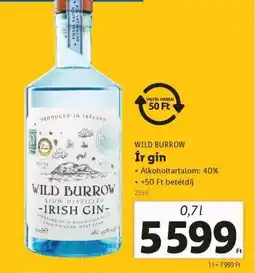 Lidl WILD BURROW Ír gin ajánlat