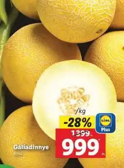Lidl Gáliadinnye ajánlat